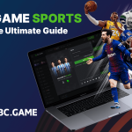 Professional Tips to Make The Most Of the BC Video Game Reward Code